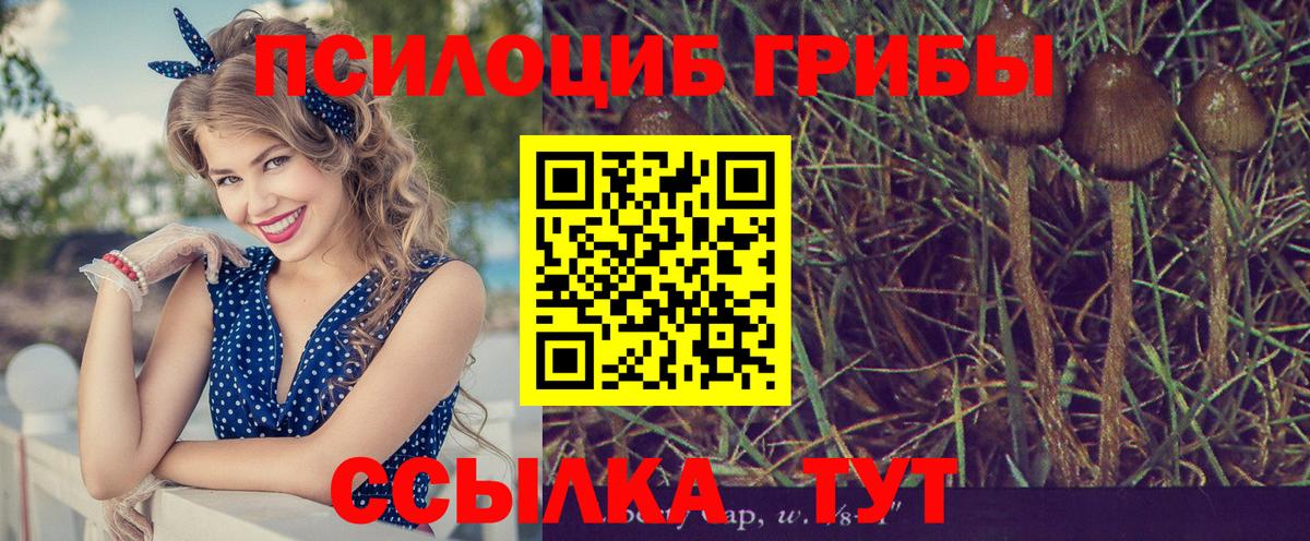 Галлюциногенные грибы мицелий Белорецк