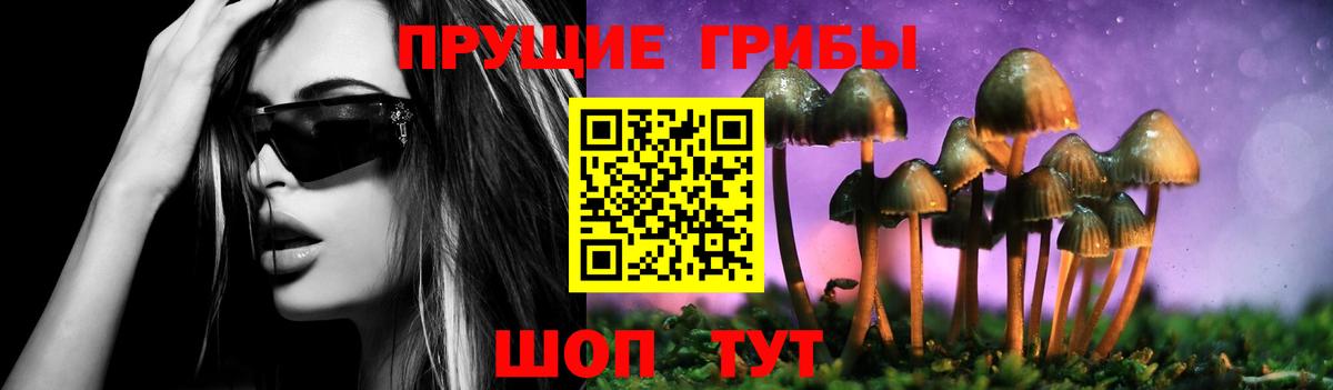 дарнет шоп  Псилоцибиновые грибы мицелий  Псилоцибиновые грибы Magic Shrooms  Вход с VPN  Белорецк 