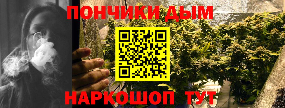 Шишки марихуана план Белорецк